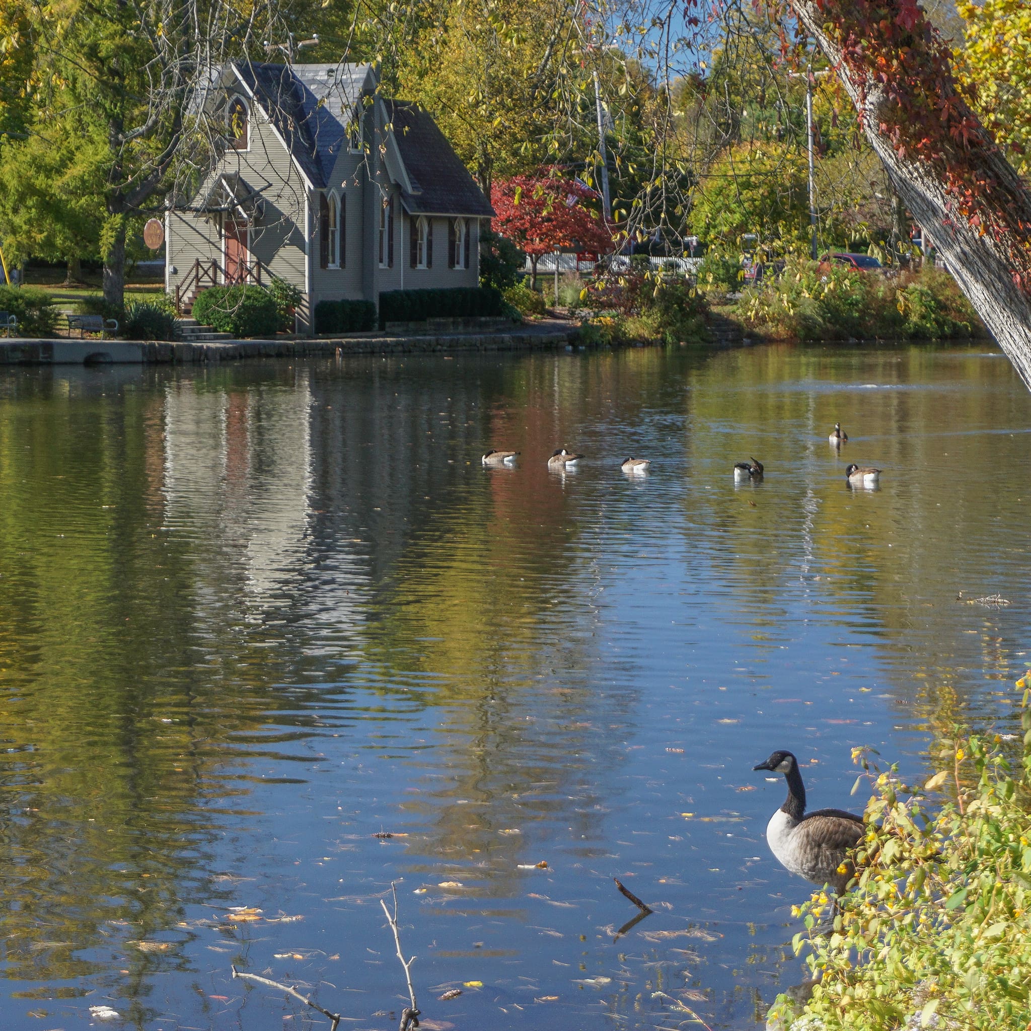 Our service area includes:
Lower Makefield, Newtown, Levittown, Middletown, Holland, Warminster, Hatboro, Ivyland, Jamison, Bensalem, Croydon, Bristol, New Hope, Lambertville, Washington Crossing, Trenton, Mercer County, and Burlington County.